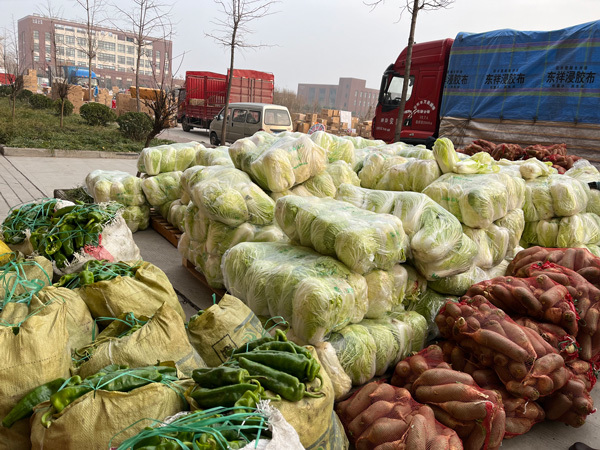 TENTE GROUP has done charity---Buying 40 Ton vegetable to help farmers